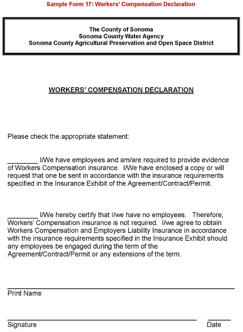 Sample Form 17 Workers Compensation Declaration 3399